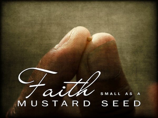 Fingers holding mustard seed